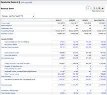 Detailed Financial Data