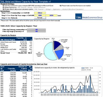 Annual Capacity Summary